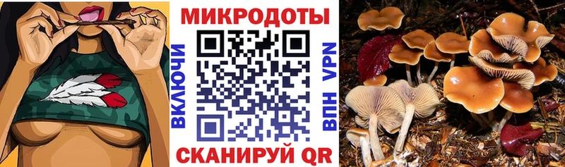 Псилоцибиновые грибы мухоморы  Щёкино 