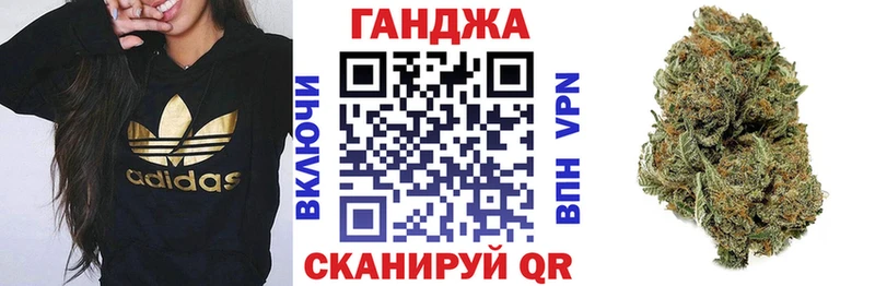 Бошки Шишки планчик  Щёкино 